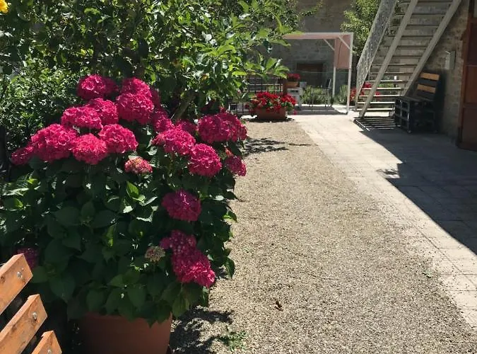 Casa Ortensia Casa vacanze Chiusi della Verna